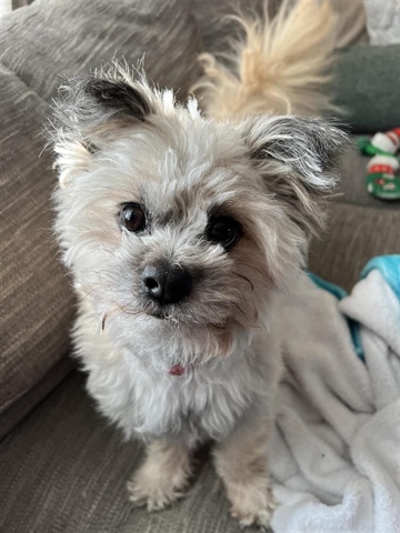 Finnegan