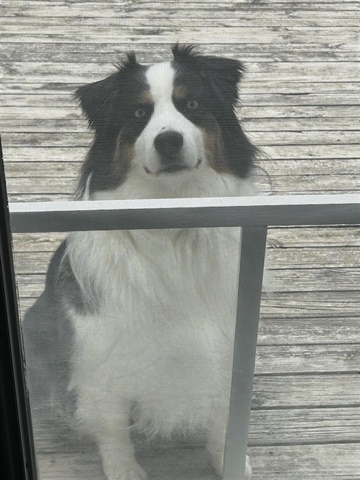 Burt
