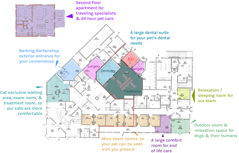 Coming in Summer 2025