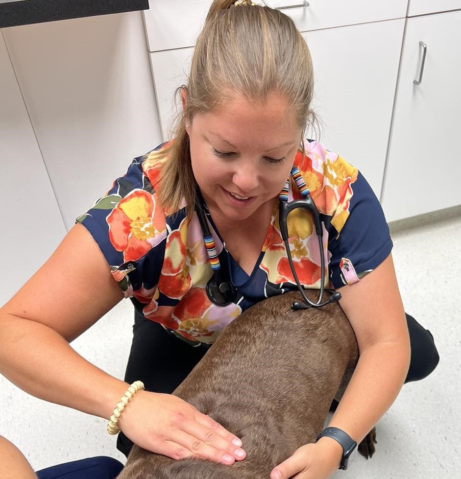 Dr. Cassandra Lonowski