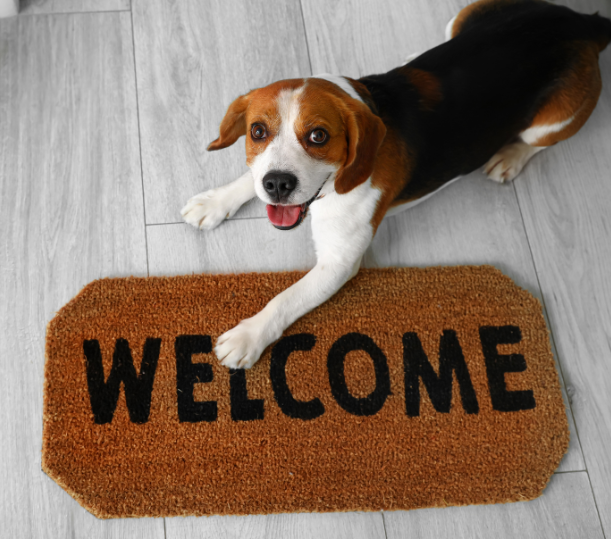 dog sitting on a welcome mat