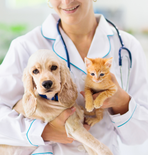vet with puppy and kitten
