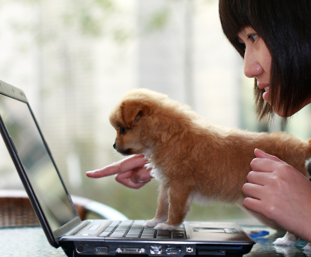 woman showing dog a computer screen