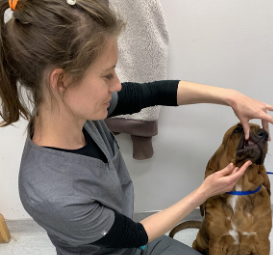 Dr. Valerie O'Connor