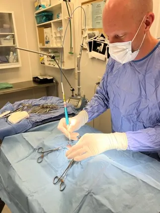 vet performing surgery on pet